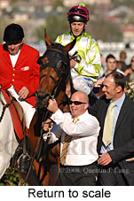 Return to scale (16571 bytes)