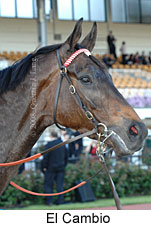 El Cambio (17710 bytes)