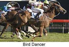 Bird Dancer (16970 bytes)