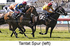 Tantat Spur (15861 bytes)