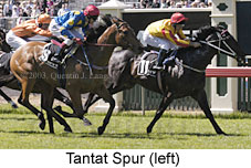 Tantat Spur (15861 bytes)