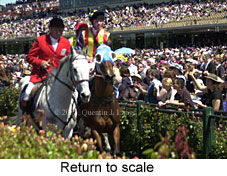 Return to scale (15861 bytes)