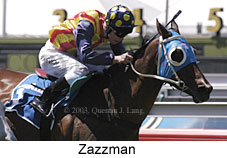 Zazzman (15861 bytes)