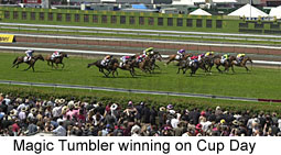 Magic Tumbler (15861 bytes)