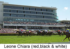 Leone Chiara (15066 bytes)