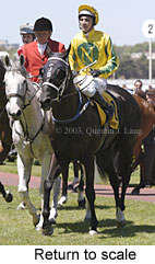 Return to scale (15134 bytes)