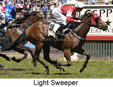 Light Sweeper (20606 bytes)