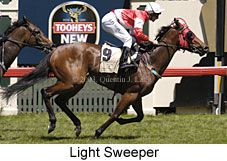 Light Sweeper (17212 bytes)