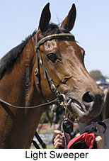 Light Sweeper (12787 bytes)