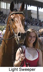 Light Sweeper (13541 bytes)