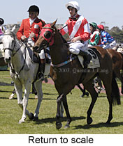 Return to scale (16651 bytes)