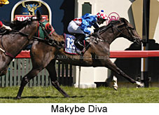 Makybe Diva (17010 bytes)