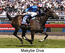 Makybe Diva (22107 bytes)