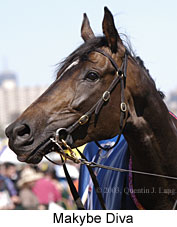Makybe Diva (13564 bytes)
