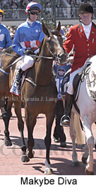 Makybe Diva (17470 bytes)