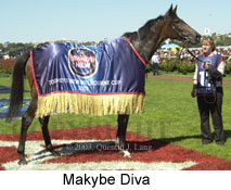 Makybe Diva (14956 bytes)