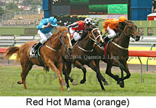 Red Hot Mama (18507 bytes)