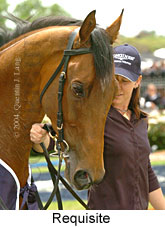 Requisite (18507 bytes)