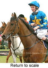 Return to scale (17769 bytes)