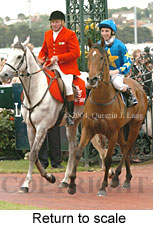 Return to scale (17769 bytes)