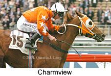 Charmview (18507 bytes)