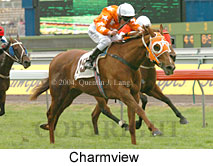 Charmview (18507 bytes)