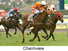 Charmview (18507 bytes)