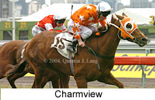 Charmview (18507 bytes)