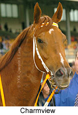 Charmview (18507 bytes)