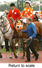 Return to scale (17769 bytes)