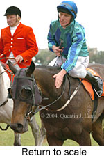 Return to scale (17769 bytes)