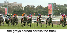 greys race (17769 bytes)