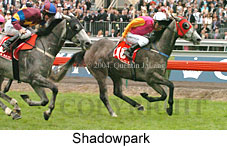 Shadowpark (18507 bytes)