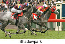 Shadowpark (18507 bytes)