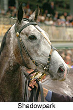 Shadowpark (18507 bytes)