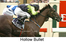 Hollow Bullet (18507 bytes)