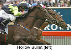 Hollow Bullet (17076 bytes)