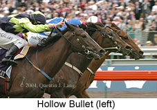 Hollow Bullet (18507 bytes)