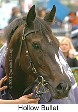 Hollow Bullet (17076 bytes)