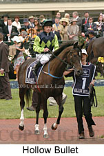 Hollow Bullet (18507 bytes)