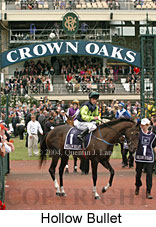 Hollow Bullet (18507 bytes)