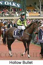 Hollow Bullet (18507 bytes)