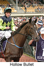 Hollow Bullet (18507 bytes)