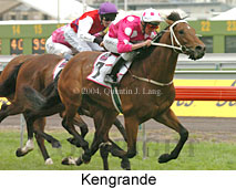 Kengrande (18507 bytes)