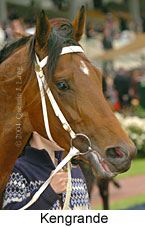 Kengrande (18507 bytes)