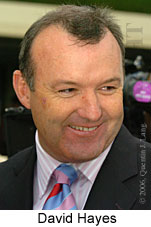 David Hayes (13260 bytes)