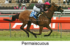 Permaiscuous (21625 bytes)