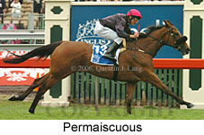 Permaiscuous (21625 bytes)