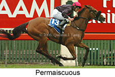 Permaiscuous (21625 bytes)