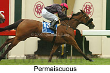 Permaiscuous (21625 bytes)